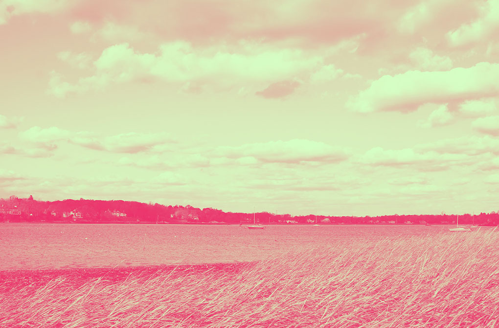 Manager Monday Blue Harbour Group